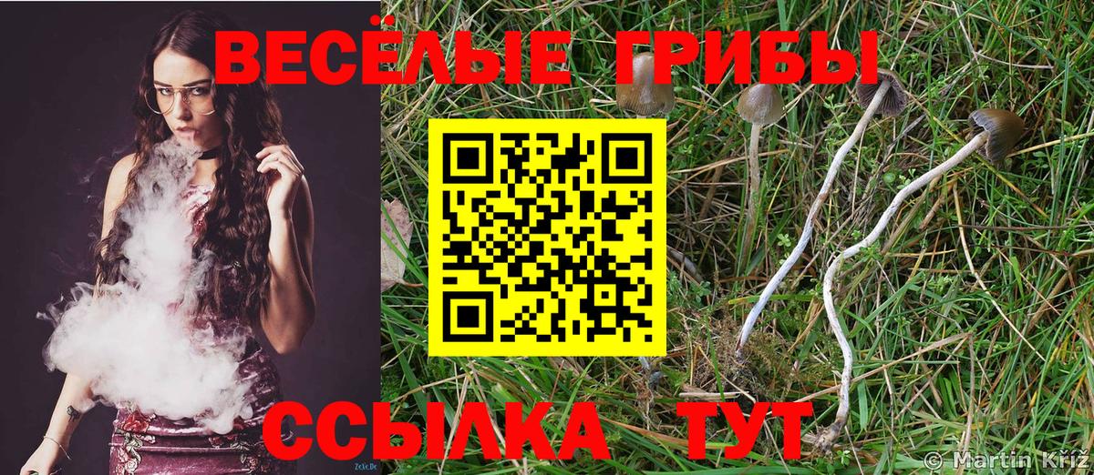Галлюциногенные грибы ЛСД Белогорск
