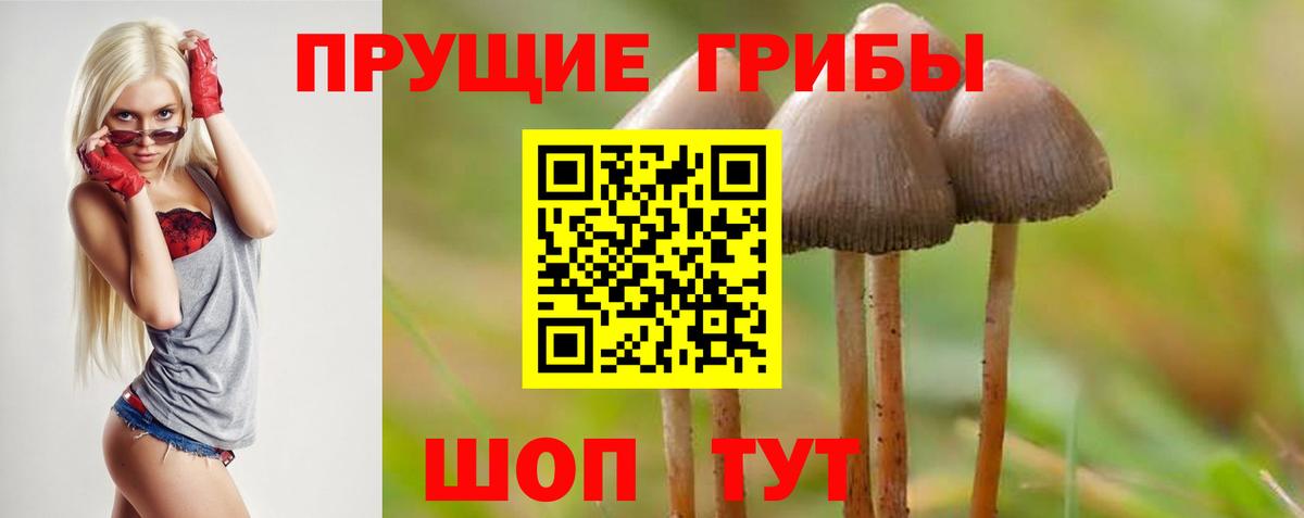 Псилоцибиновые грибы Psilocybe  Галлюциногенные грибы мухоморы  Белогорск  Вход с VPN 